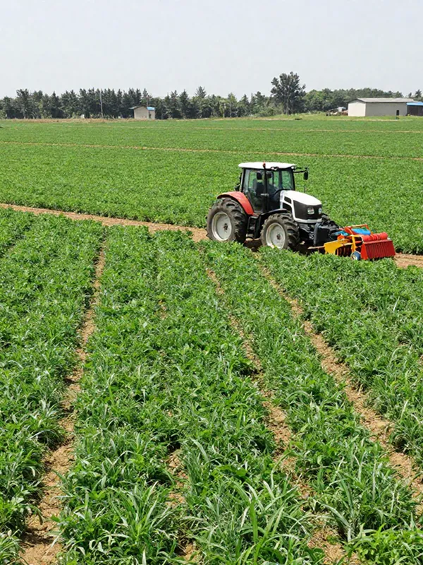 Agriculture, Livestock & Agribusiness